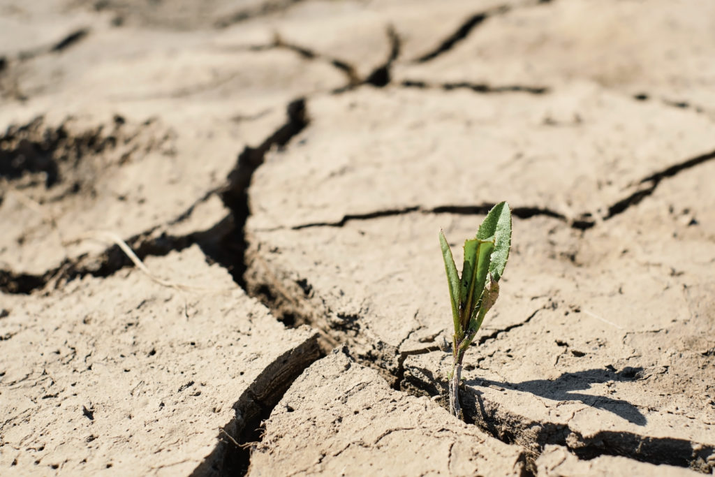 Fracking soil